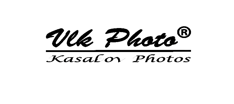 Календари, плакати, снимки и тениски с уникален дизайн – онлайн поръчка - 